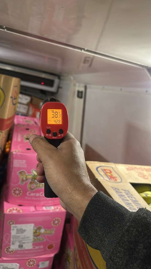 Temperature monitoring